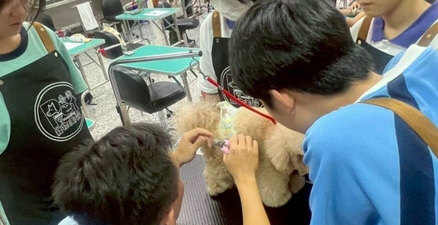創新職涯體驗！北市４千餘學子暑期動手探索未來