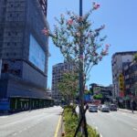 基隆親水季沁涼登場　謝國樑邀市民走入暖暖共享山水童趣