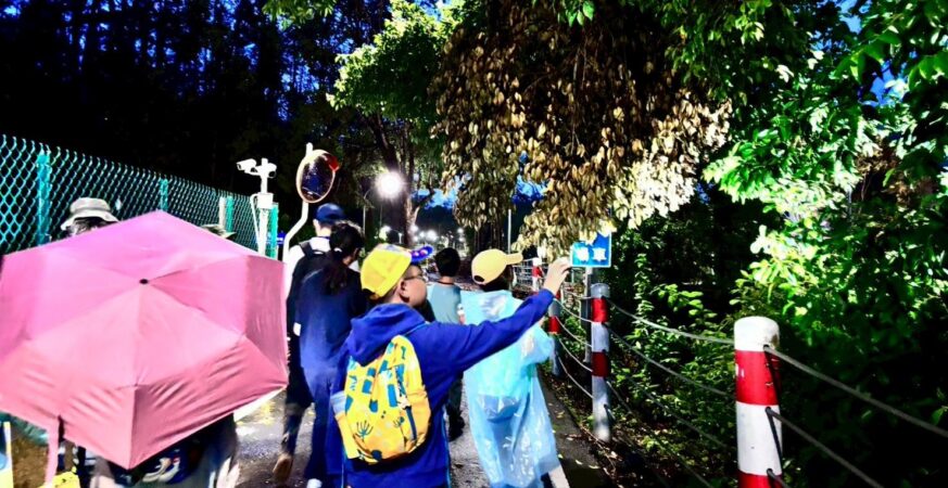 嘉博館《來嘉找蛙生態營》圓滿落幕　學童走進自然成為小小行動家