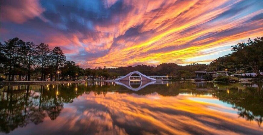 101國際繪畫賽　畫出心中最美公園