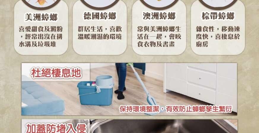 別讓「小強」太猖狂！　防蟑三寶守護居家健康