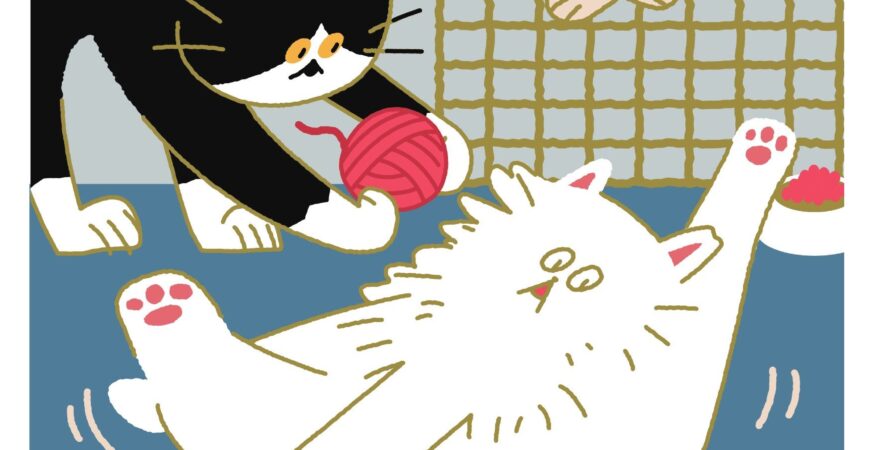 北市街貓照護行動邁入20週年　成果展7/30起雙展區登場