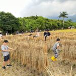 清水高美五里聯防里隊成立　中市府補助新購巡邏車　民政局長：助攻社區安全網