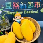 三民區幸福千歲社區獲衛福部1朵紫絲帶認證　社會局長貼紅榜表揚防暴成效