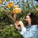 了解習性正確守護野生動物　中市農業局提醒「不干擾、不餵食、不捕捉」