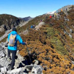 《台北時報》阿里山特別配備日本隊服