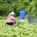 《台北時報》淡江大橋四五月活動空間開放