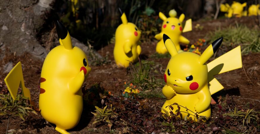 寶可樂園：關都「寶可夢森林」探秘，大量寶可夢能摸能抱還能騎