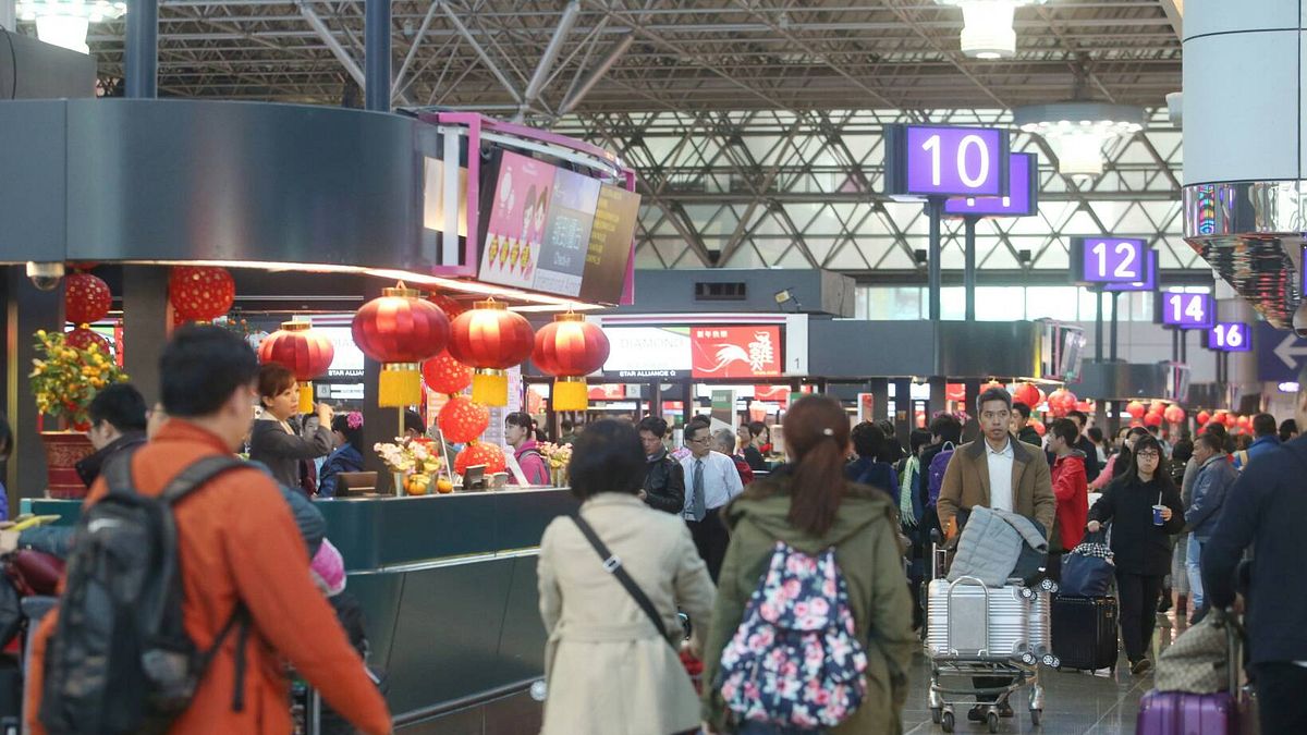 信台積電的都大賺了？ 0050規模衝破兆元謝金河點出台灣一「世界罕見現象」