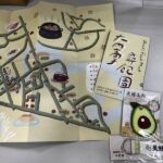 後視攝影機系統存在缺陷 豐田在美召回超過16.1萬車隊