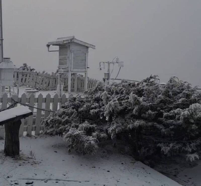 玉山北峰清晨飄雪呈現美麗銀白世界 玉山北峰清晨飄雪呈現美麗銀白世界