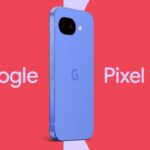 深度淨山拆除鳥網行動　公私協力守護野生鳥類