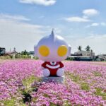 7-11咖啡下殺比買一送一優惠！ OK超商也有買一送一、冰品7折起