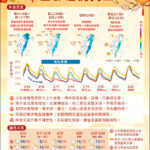 點教育》《蔣中正雕像》存廢墟是優秀的歷史思辨教材