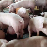 《台北時報》 TASA公開定位火箭分析中心計劃