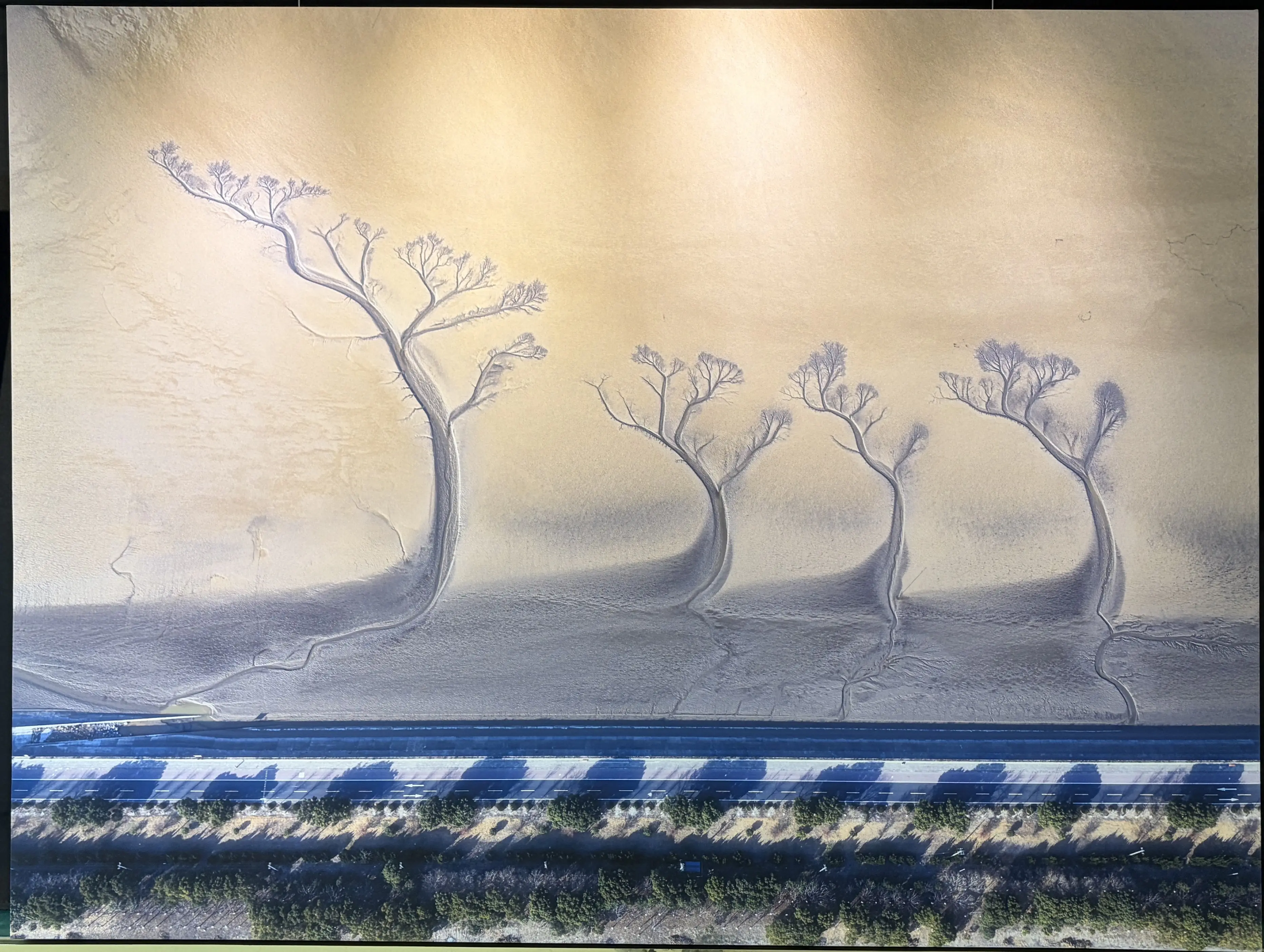 大里地政藝文走廊「台中市攝影學會作品展」現正展出　歡迎市民共賞