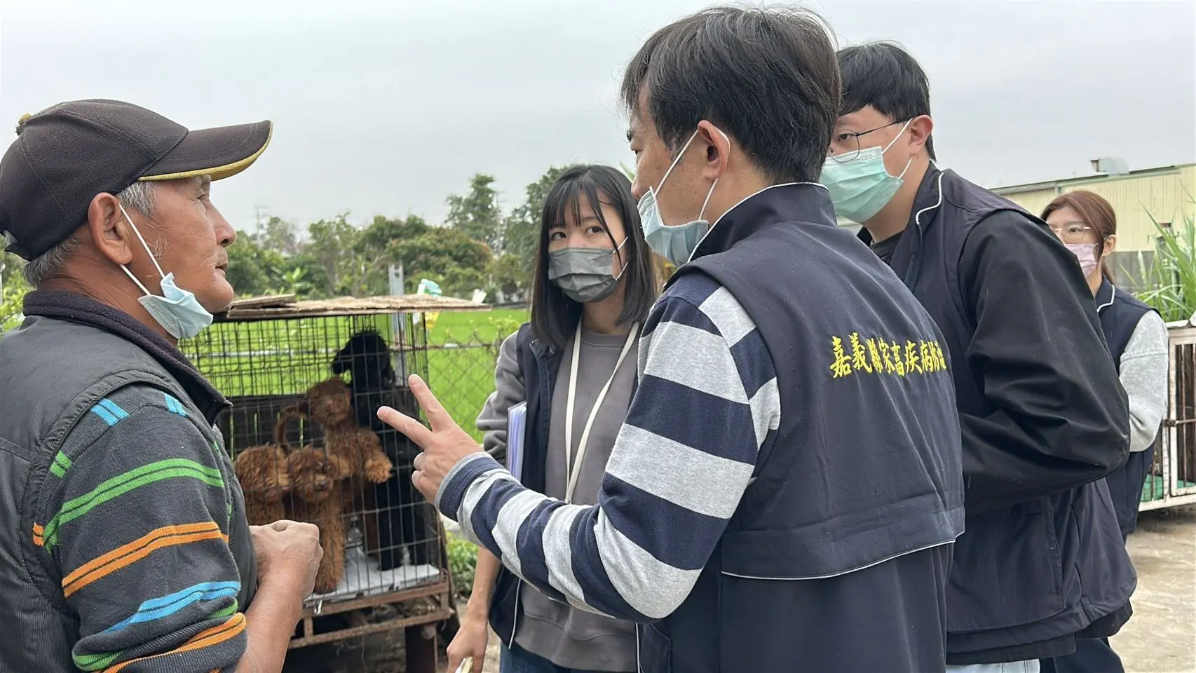 嘉縣查獲黑心繁殖狗場　63隻品種犬全數沒入　最高可罰300萬