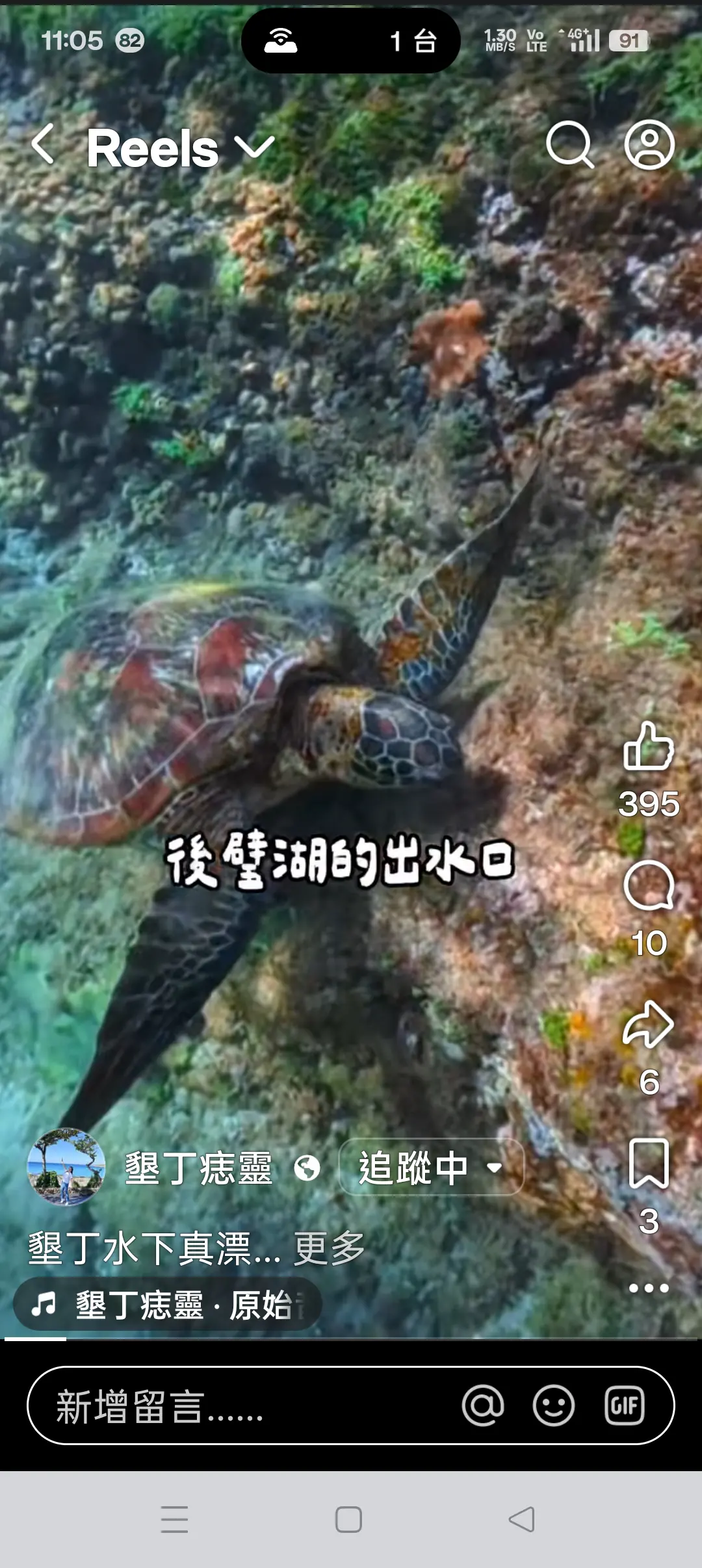 海水正藍、氣候宜人　快來墾丁和海龜同遊浮潛吧