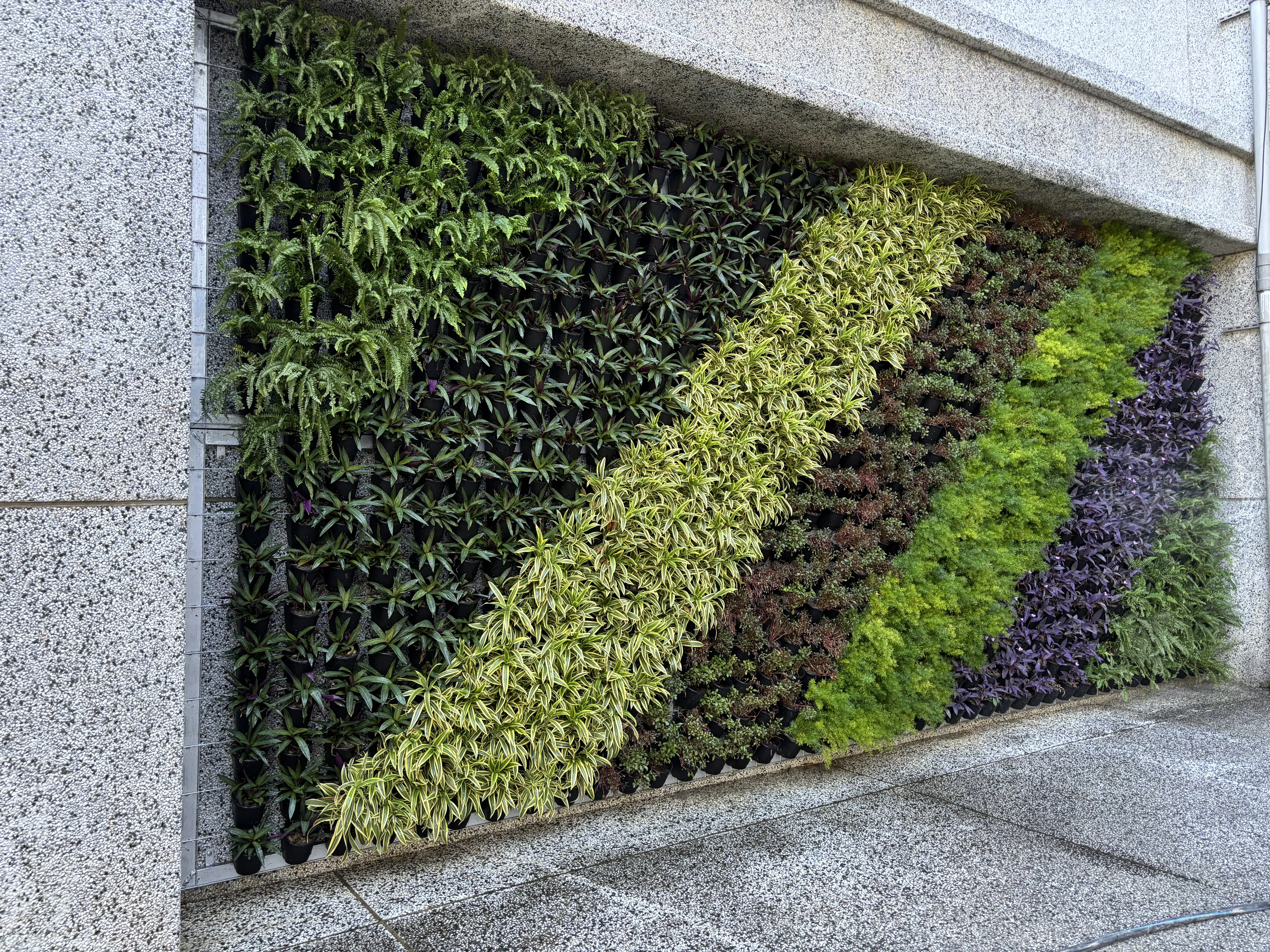 中市環保局推「廣植栽、廣植林」-輔導學校、社區、企業共同打造花園城市