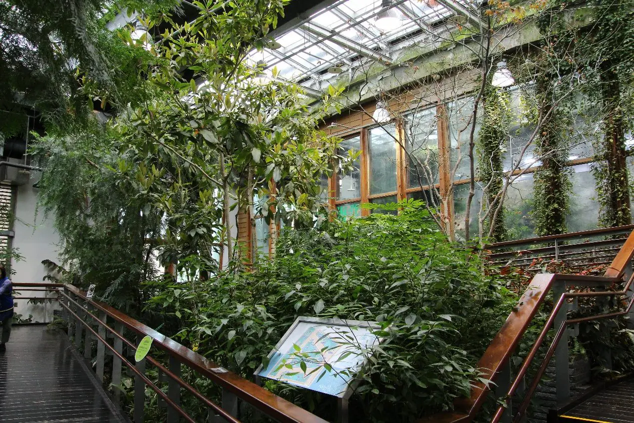 本尊長這樣 臺北典藏植物園秀國寶級造林樹種