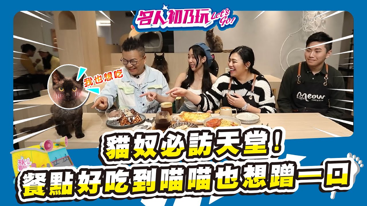 #台中西屯區 | #貓奴必訪天堂 | 喵喵陪吃陪玩超幸福 | 供應咖啡/ 甜點/ 義大利麵(鹹食) | 名人初乃玩 | 沈玉琳 | 檸檬